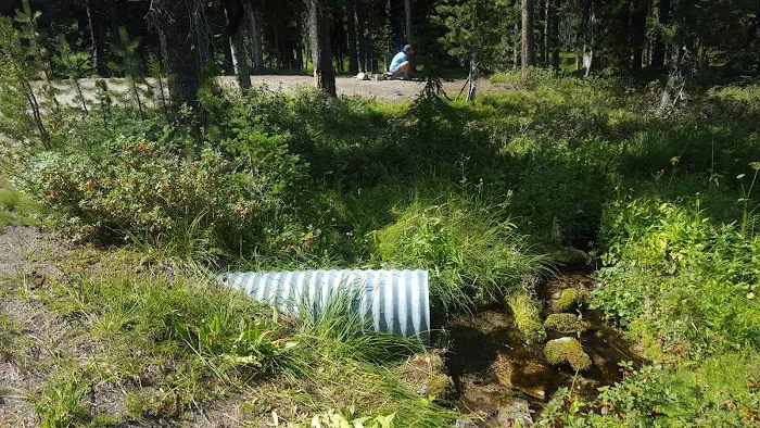 Observation Point Campground Picture 4