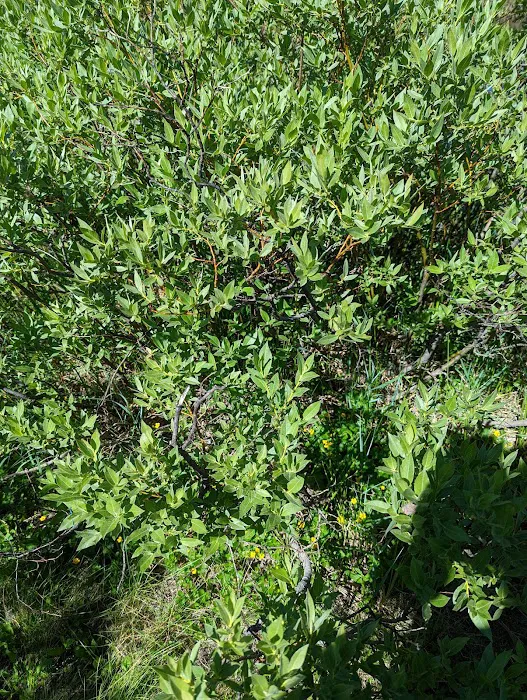 Hazard Campground Picture 6