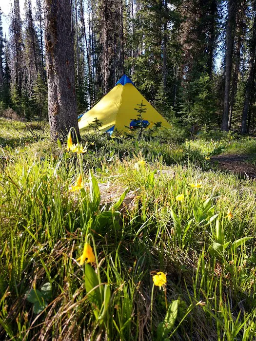 Burgdorf Campground Picture 5