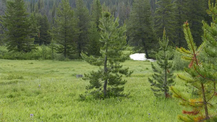 Burgdorf Campground Picture 10