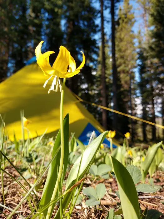 Burgdorf Campground Picture 4