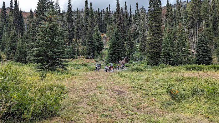 Black Lake Campground Picture 4