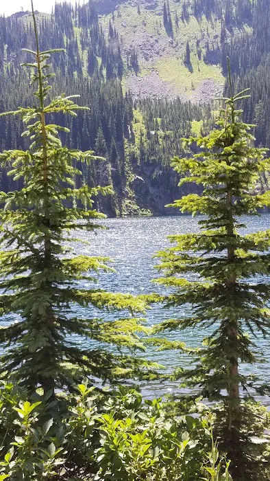 Black Lake Campground Picture 9