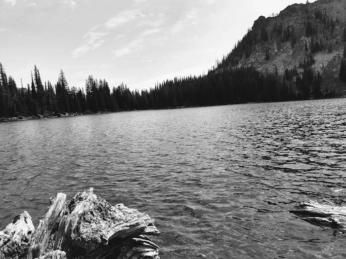 Black Lake Campground Picture 6