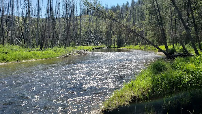 Chinook Campground Picture 2