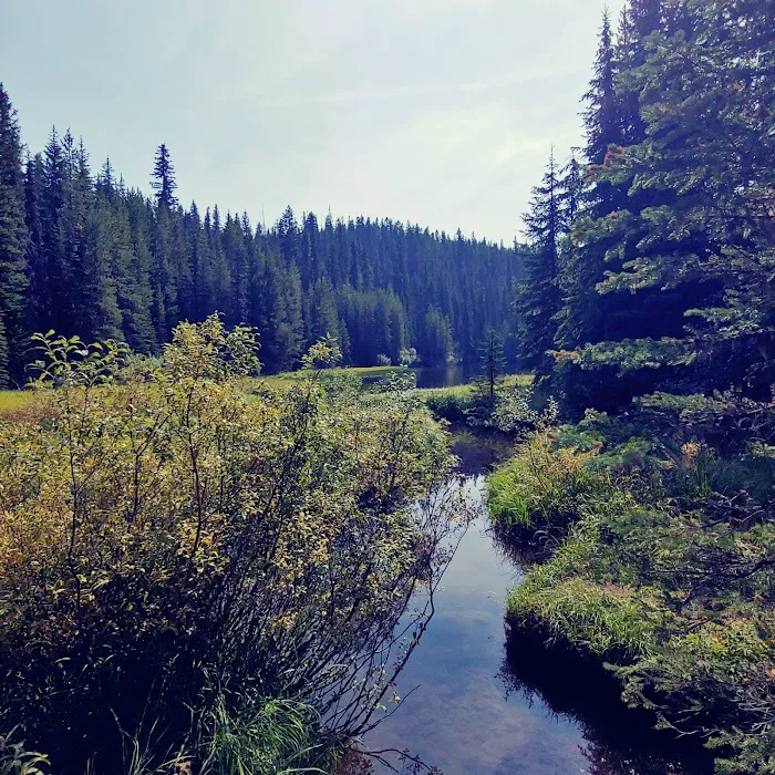 Jubilee Lake Campground Picture 7