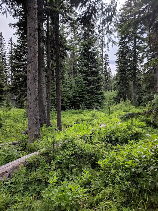 Target Meadows Campground Picture 3