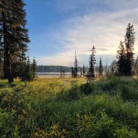 Woodward Campground ico