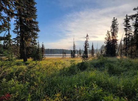 Woodward Campground
