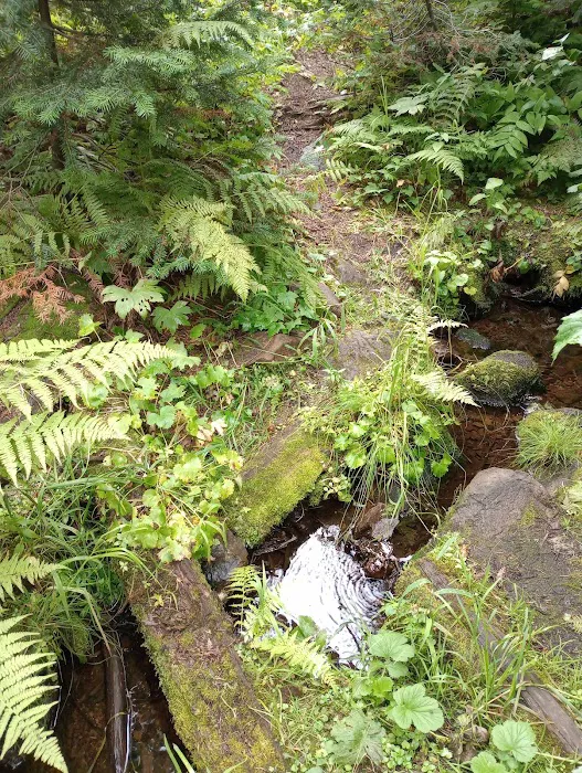 Woodward Campground Picture 9