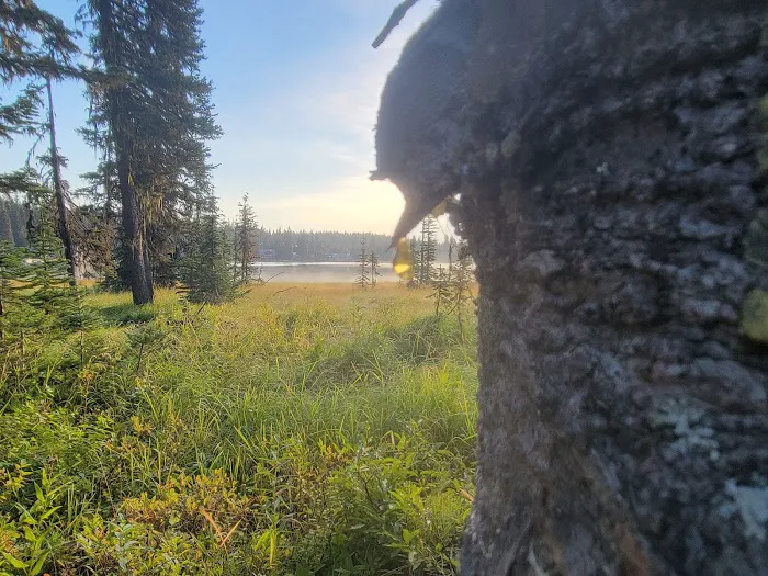 Woodward Campground Picture 7