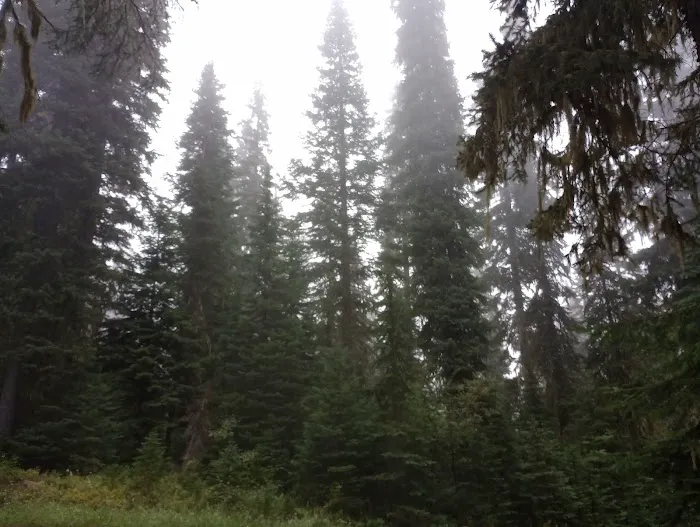 Woodward Campground Picture 5