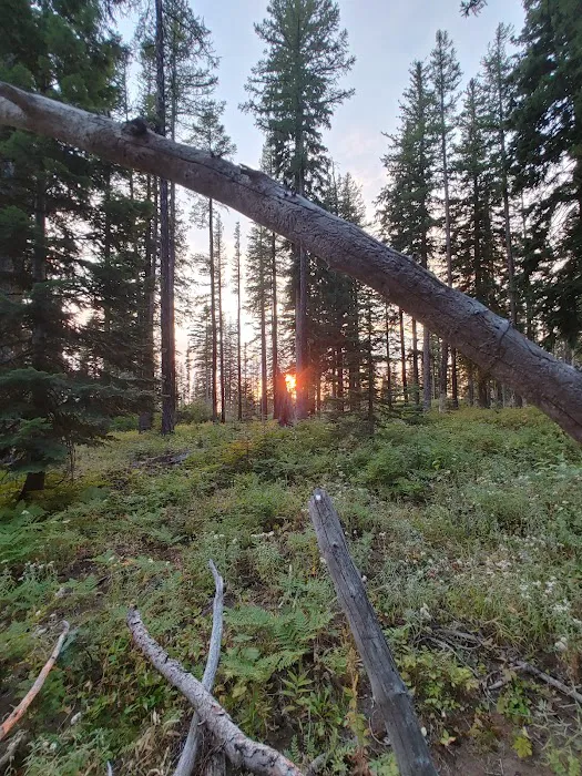 Woodland Campground Picture 1