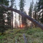 Woodland Campground