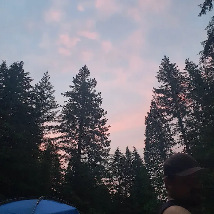Woodland Campground Picture 7