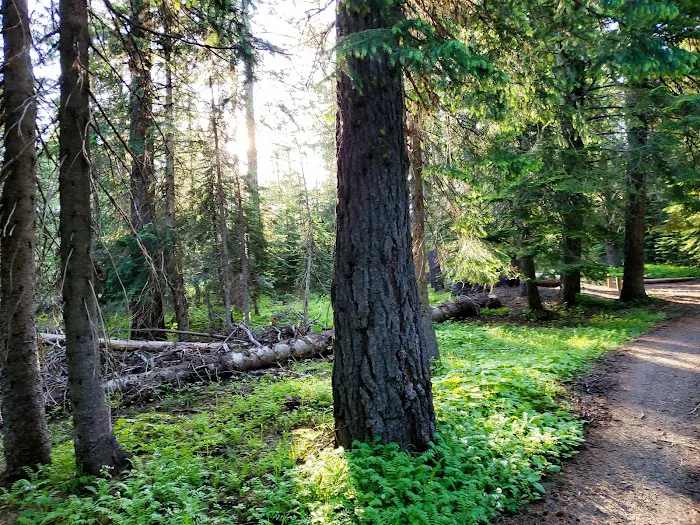Woodland Campground Picture 10