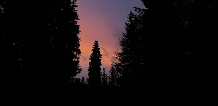 Woodland Campground Picture 8