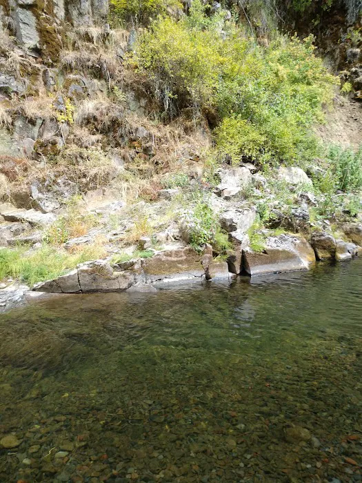 Umatilla Forks Campground Picture 6