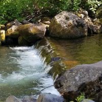 South Fork Campground ico