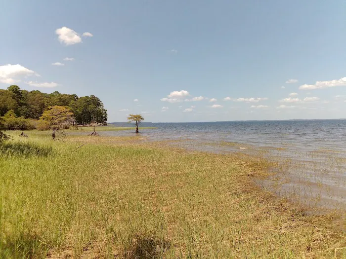Lakeview Recreation Area Picture 9