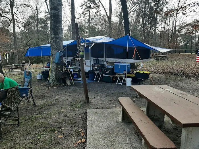 Willow Oak Campground - Sabine National Forest Picture 3