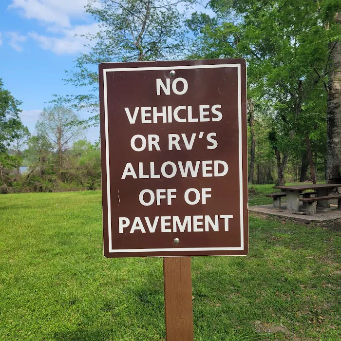 Willow Oak Campground - Sabine National Forest Picture 1