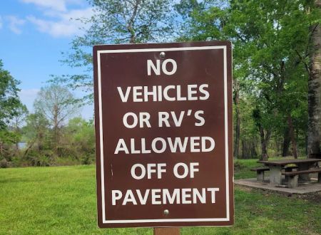 Willow Oak Campground - Sabine National Forest