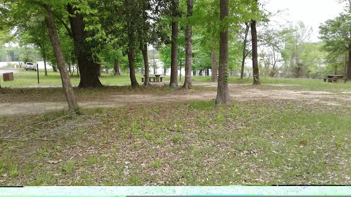 Willow Oak Campground - Sabine National Forest Picture 4