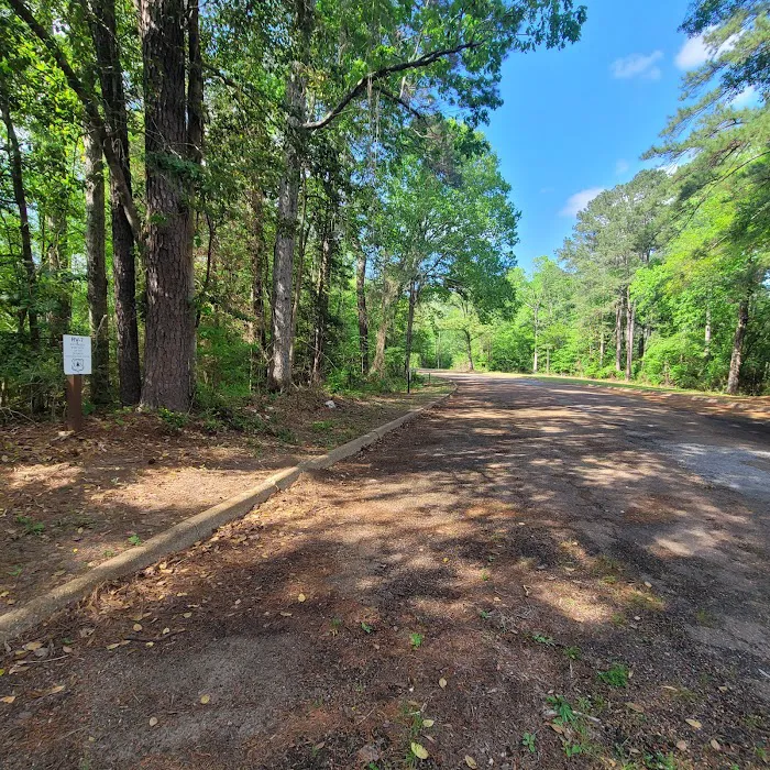 Willow Oak Campground - Sabine National Forest Picture 5