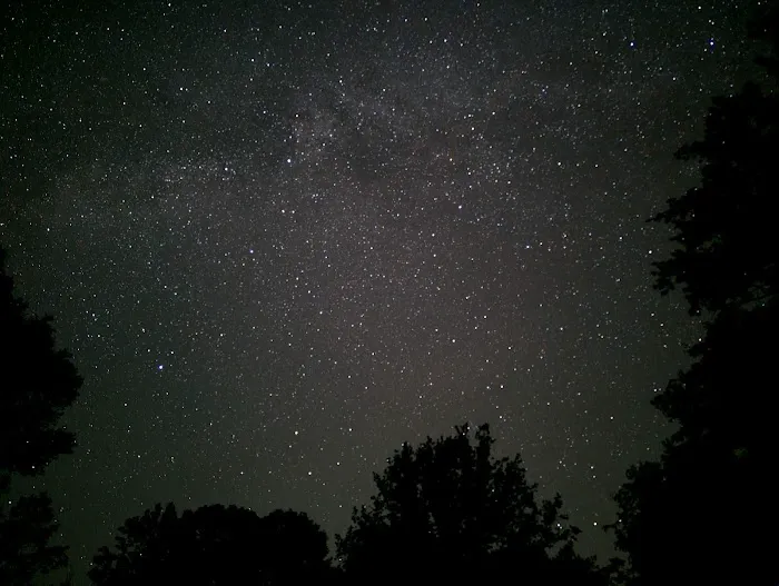 Willow Oak Campground - Sabine National Forest Picture 9