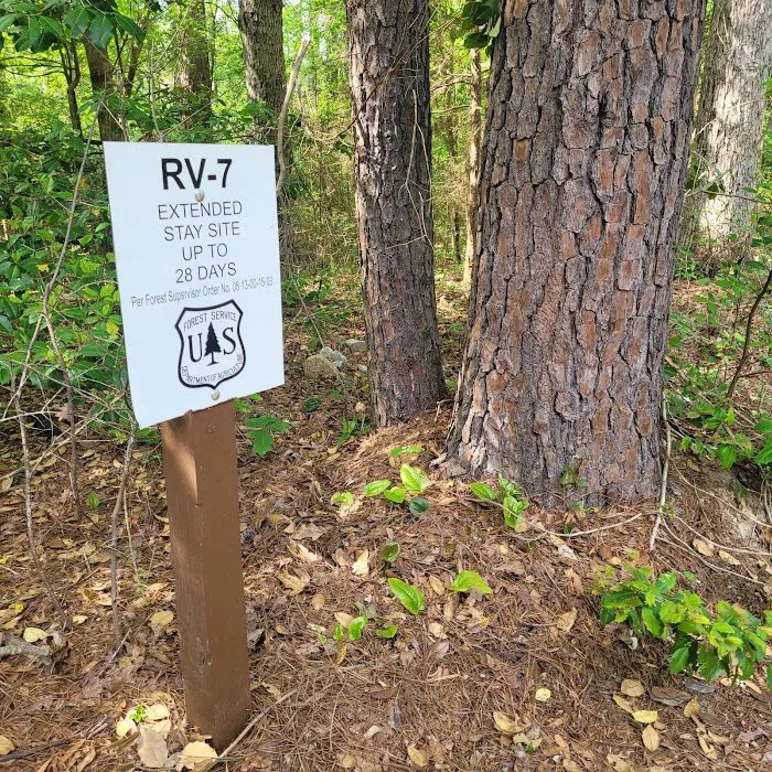 Willow Oak Campground - Sabine National Forest Picture 10