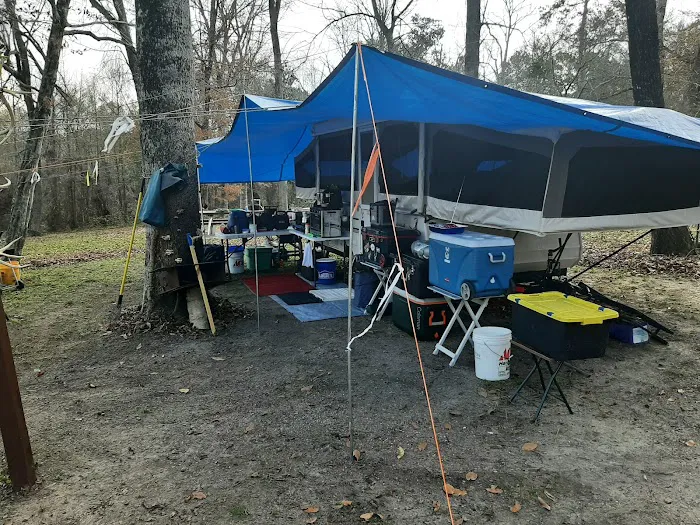 Willow Oak Campground - Sabine National Forest Picture 7