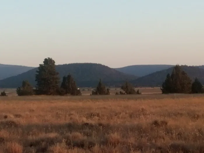 Golden Acred Ridge Estate Picture 3