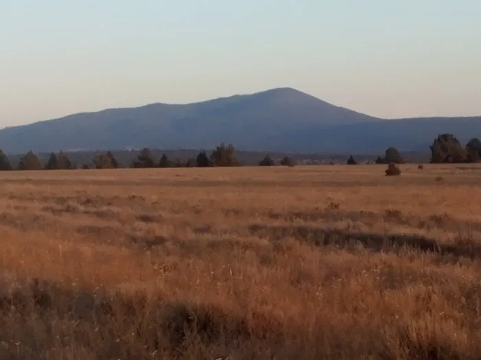 Golden Acred Ridge Estate Picture 6