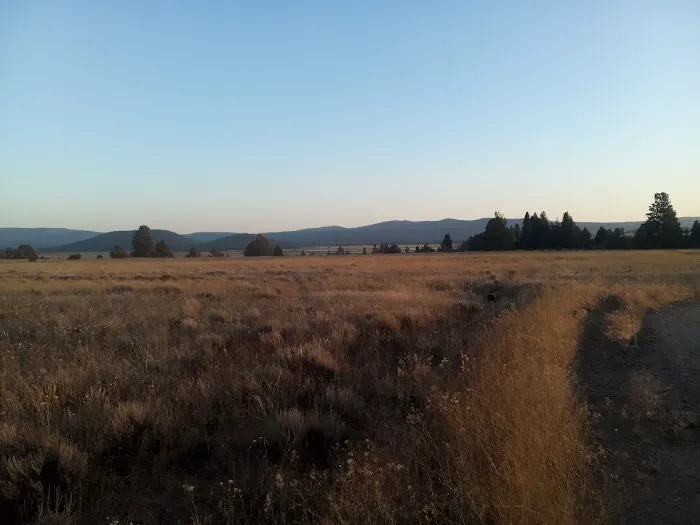 Golden Acred Ridge Estate Picture 2
