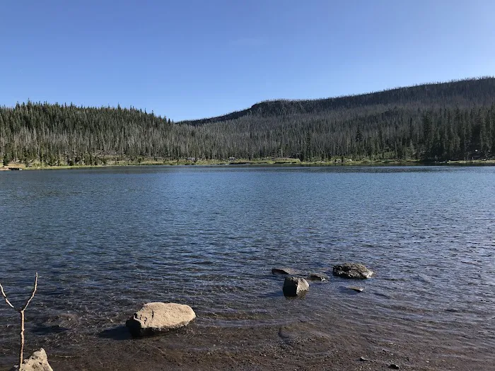 Campbell Lake Developed Campground Picture 3