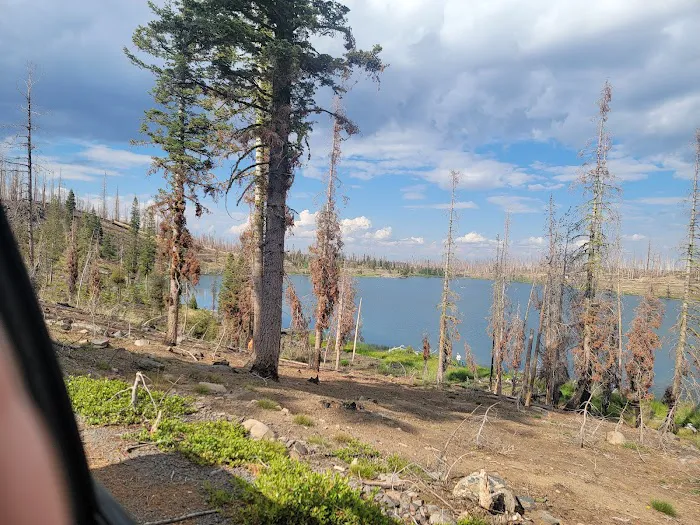 Campbell Lake Developed Campground Picture 4
