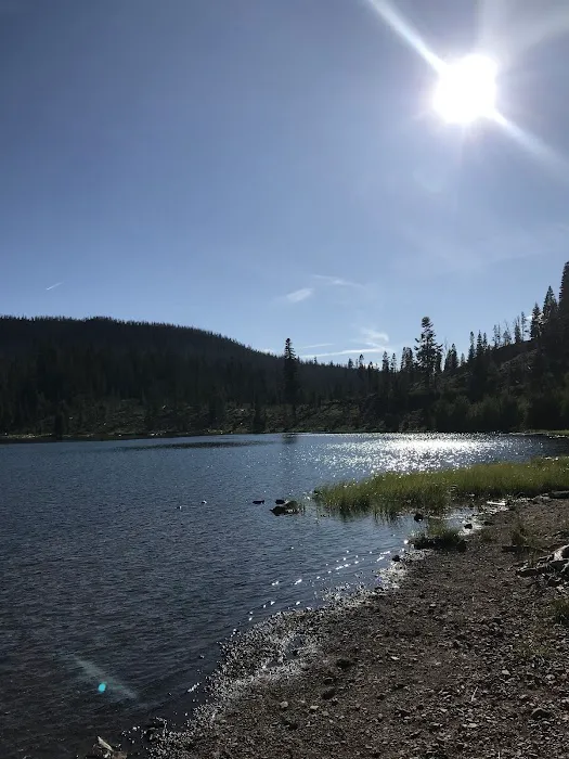 Campbell Lake Developed Campground Picture 1