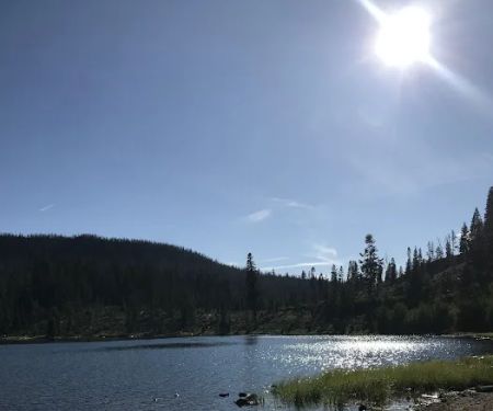 Campbell Lake Developed Campground