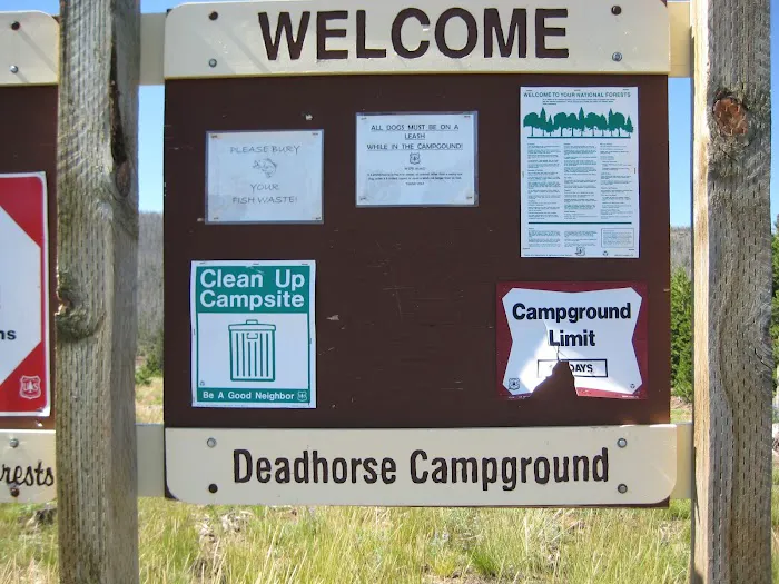 Deadhorse Lake Developed Campground Picture 8