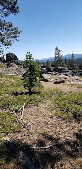 Corral Creek National Forest service campground Picture 1