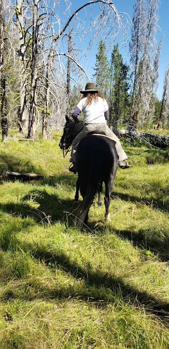 Corral Creek National Forest service campground Picture 2