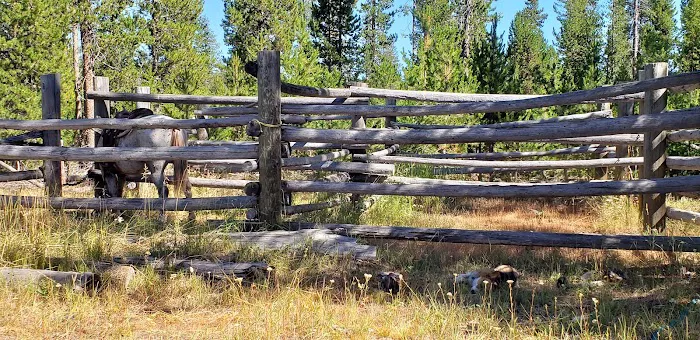 Corral Creek National Forest service campground Picture 6