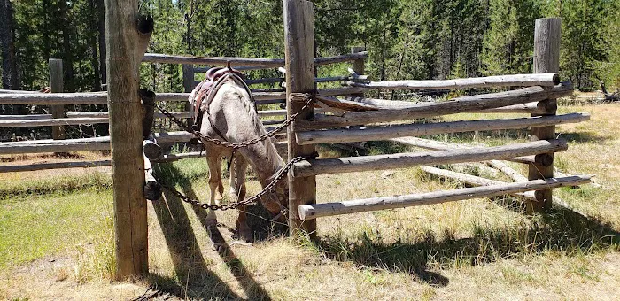 Corral Creek National Forest service campground Picture 5
