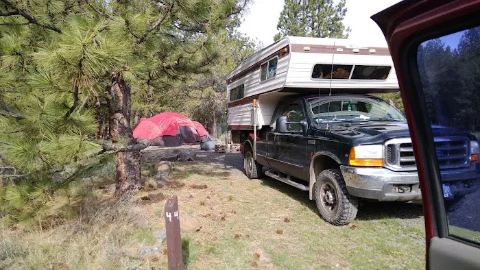 Yellowjacket Campground Picture 4