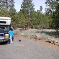 Yellowjacket Campground ico