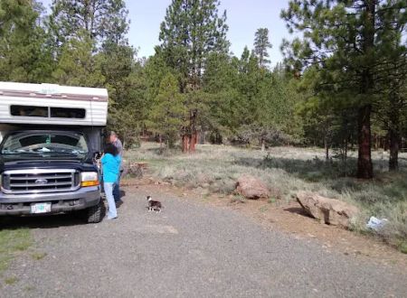 Yellowjacket Campground