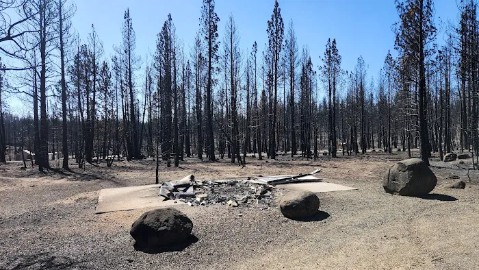 Yellowjacket Campground Picture 2