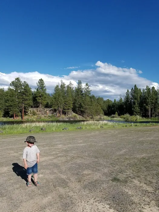 Yellowjacket Campground Picture 8