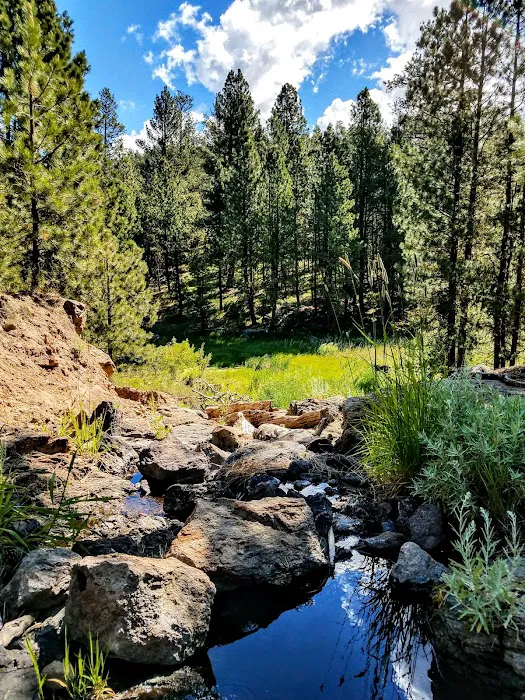 Yellowjacket Campground Picture 9